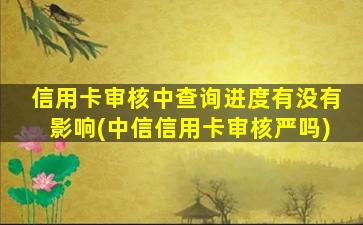 信用卡审核中查询进度有没有影响(中信信用卡审核严吗)