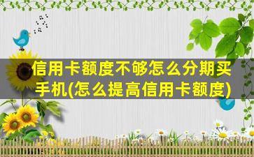 信用卡额度不够怎么分期买手机(怎么提高信用卡额度)