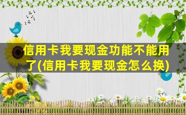 信用卡我要现金功能不能用了(信用卡我要现金怎么换)