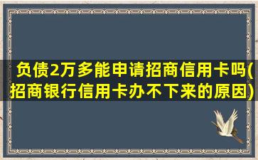 负债2万多能申请招商信用卡吗(招商银行信用卡办不下来的原因)