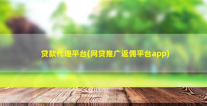贷款代理平台(网贷推广返佣平台app)
