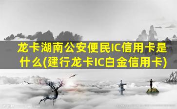 龙卡湖南公安便民IC信用卡是什么(建行龙卡IC白金信用卡)