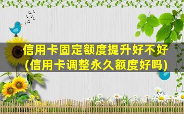 信用卡固定额度提升好不好(信用卡调整永久额度好吗)