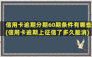 信用卡逾期分期60期条件有哪些(信用卡逾期上征信了多久能消)