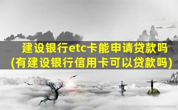 建设银行etc卡能申请贷款吗(有建设银行信用卡可以贷款吗)