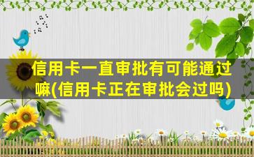 信用卡一直审批有可能通过嘛(信用卡正在审批会过吗)