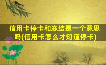 信用卡停卡和冻结是一个意思吗(信用卡怎么才知道停卡)