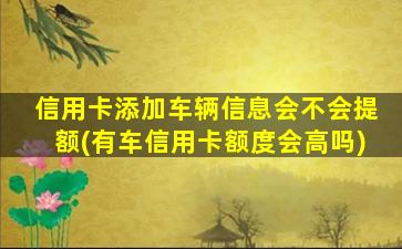 信用卡添加车辆信息会不会提额(有车信用卡额度会高吗)