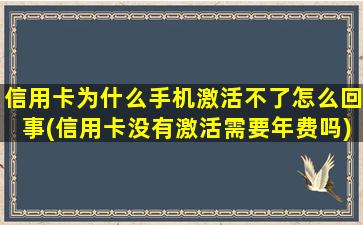 信用卡为什么手机激活不了怎么回事(信用卡没有激活需要年费吗)