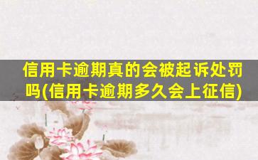 信用卡逾期真的会被起诉处罚吗(信用卡逾期多久会上征信)