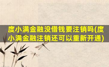 度小满金融没借钱要注销吗(度小满金融注销还可以重新开通)