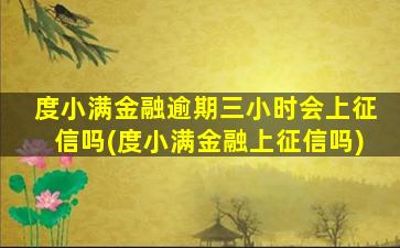 度小满金融逾期三小时会上征信吗(度小满金融上征信吗)