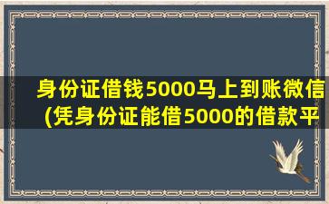 身份证借钱5000马上到账微信(凭身份证能借5000的借款平台)