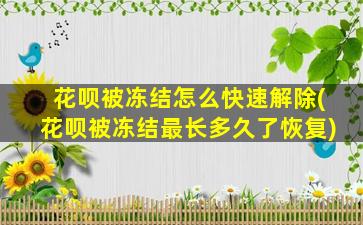 花呗被冻结怎么快速解除(花呗被冻结最长多久了恢复)