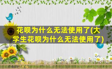 花呗为什么无法使用了(大学生花呗为什么无法使用了)