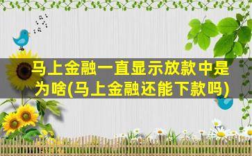 马上金融一直显示放款中是为啥(马上金融还能下款吗)