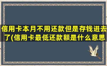 信用卡本月不用还款但是存钱进去了(信用卡最低还款额是什么意思)