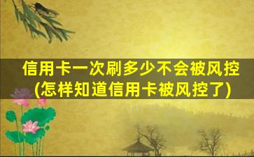 信用卡一次刷多少不会被风控(怎样知道信用卡被风控了)