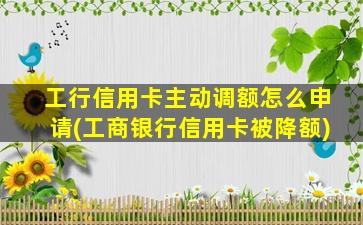 工行信用卡主动调额怎么申请(工商银行信用卡被降额)