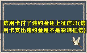 信用卡付了违约金还上征信吗(信用卡支出违约金是不是影响征信)