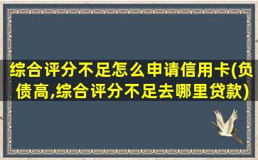 综合评分不足怎么申请信用卡(负债高,综合评分不足去哪里贷款)