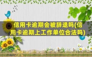 信用卡逾期会被辞退吗(信用卡逾期上工作单位合法吗)