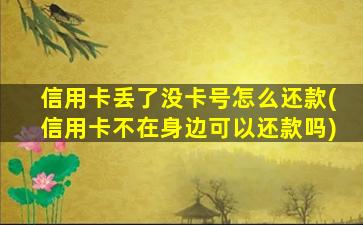 信用卡丢了没卡号怎么还款(信用卡不在身边可以还款吗)