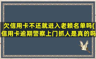 欠信用卡不还就进入老赖名单吗(信用卡逾期警察上门抓人是真的吗)