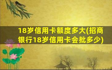 18岁信用卡额度多大(招商银行18岁信用卡会批多少)