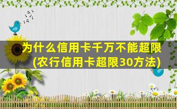 为什么信用卡千万不能超限(农行信用卡超限30方法)