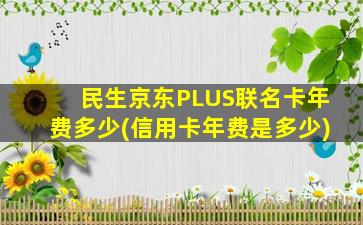 民生京东PLUS联名卡年费多少(信用卡年费是多少)