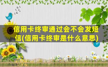 信用卡终审通过会不会发短信(信用卡终审是什么意思)