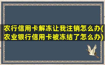 农行信用卡解冻让我注销怎么办(农业银行信用卡被冻结了怎么办)