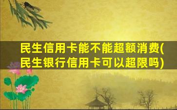 民生信用卡能不能超额消费(民生银行信用卡可以超限吗)