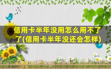 信用卡半年没用怎么用不了了(信用卡半年没还会怎样)