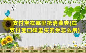 支付宝在哪里抢消费券(在支付宝口碑里买的券怎么用)