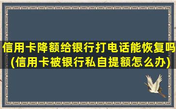 信用卡降额给银行打电话能恢复吗(信用卡被银行私自提额怎么办)