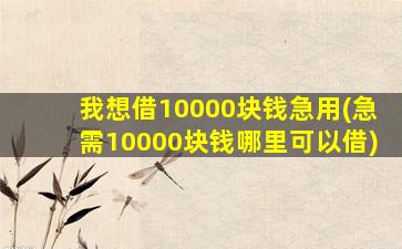 我想借10000块钱急用(急需10000块钱哪里可以借)