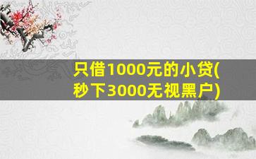 只借1000元的小贷(秒下3000无视黑户)