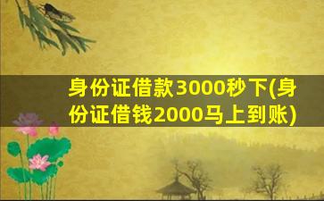 身份证借款3000秒下(身份证借钱2000马上到账)