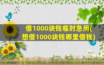 借1000块钱临时急用(想借1000块钱哪里借钱)