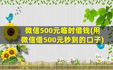 微信500元临时借钱(用微信借500元秒到的口子)