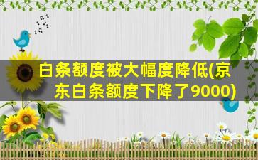 白条额度被大幅度降低(京东白条额度下降了9000)