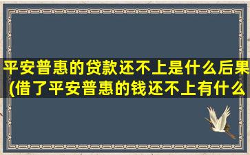平安普惠的贷款还不上是什么后果(借了平安普惠的钱还不上有什么后果)