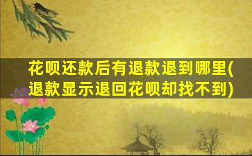 花呗还款后有退款退到哪里(退款显示退回花呗却找不到)