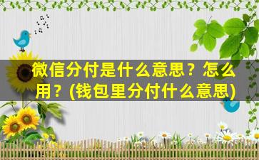 微信分付是什么意思？怎么用？(钱包里分付什么意思)