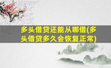 多头借贷还能从哪借(多头借贷多久会恢复正常)