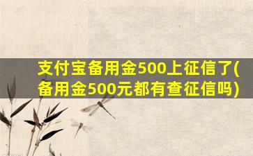 支付宝备用金500上征信了(备用金500元都有查征信吗)