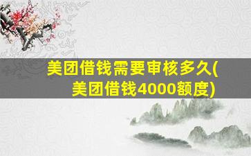 美团借钱需要审核多久(美团借钱4000额度)