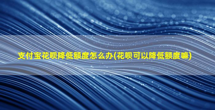 支付宝花呗降低额度怎么办(花呗可以降低额度嘛)